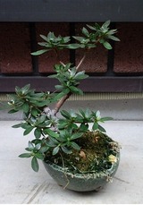20120324-1