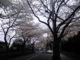 20100402-3