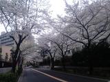 20100402-1