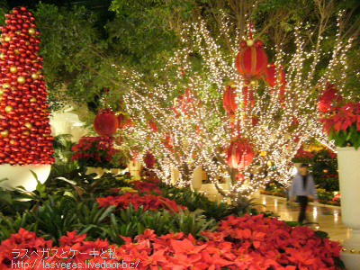 Wynn