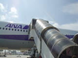 ANA