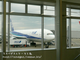 ANAで出発
