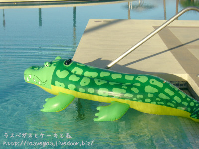 ワニ君