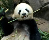サンディエゴ3日目