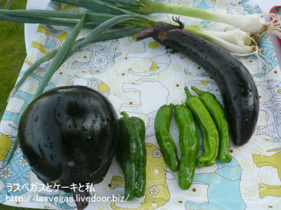 とれたて野菜
