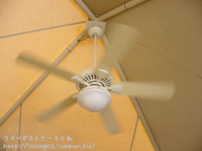 焼け石に水・・
