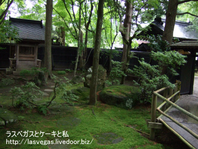 苔むしたお庭