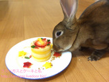今日のうーちゃん・お誕生日おめでとう編
