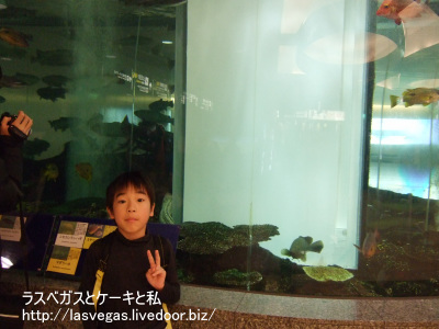 魚と