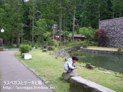 自然いっぱい