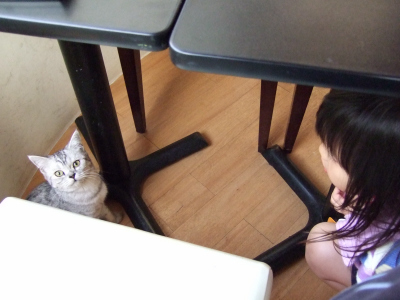 目が合った