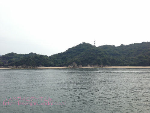 憧れのうさぎ島
