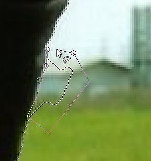 s-WS000018