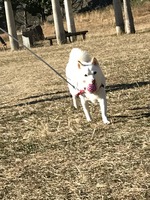 冬の公園