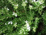 0b076820.jpg
