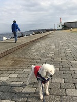 うみかぜ公園