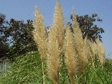 小さい秋見つけた!!