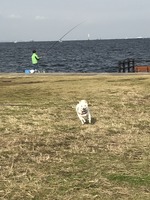 うみかぜ公園