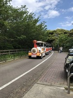 フラワートレイン