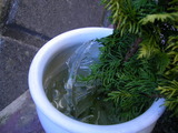 2度目の氷