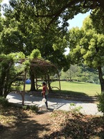 長浜公園