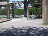 公園