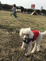 うみかぜ公園