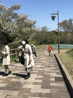 ハーブ園散策