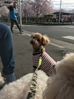 交通公園