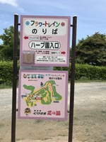 花の国 ブルートレイン