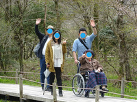 湿性花園