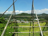 棚田by青い空
