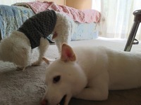 仲良し