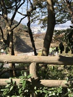 傾斜地