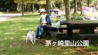 里山公園