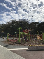 ハーブ園3月末