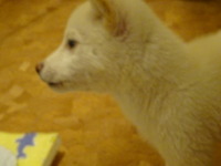 DSC00285