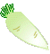 daikon