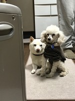 仲良くストーブの前