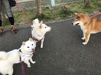 お仲間集合♪
