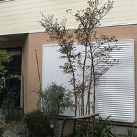 足場が取れた!