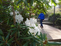 強羅公園
