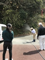水やり