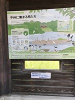覗き窓