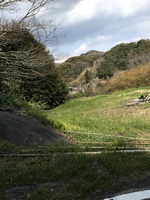 IMG_3245