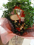 DSC02047