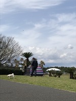 藤沢辻堂海浜公園