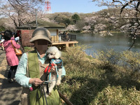 三ッ池公園