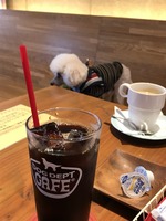DOGカフェ