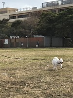 うみかぜ公園